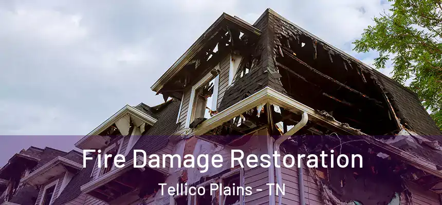 Fire Damage Restoration Tellico Plains - TN