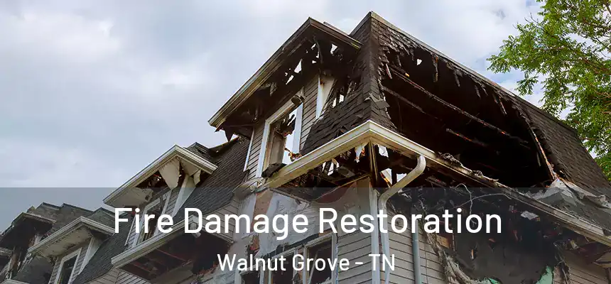 Fire Damage Restoration Walnut Grove - TN