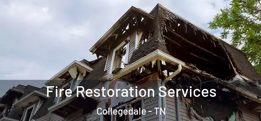 Fire Restoration Services Collegedale - TN