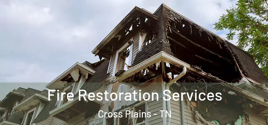  Fire Restoration Services Cross Plains - TN