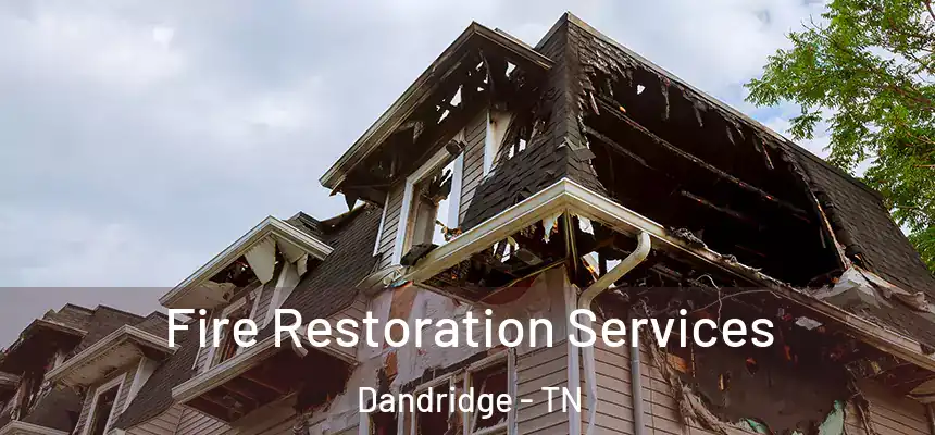  Fire Restoration Services Dandridge - TN