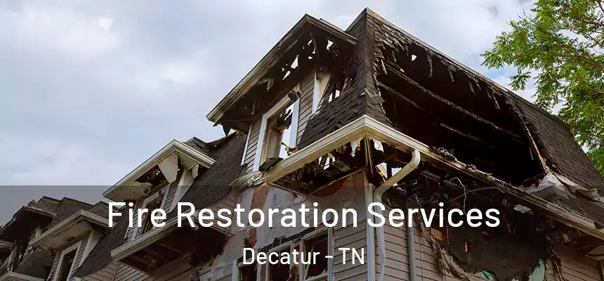  Fire Restoration Services Decatur - TN