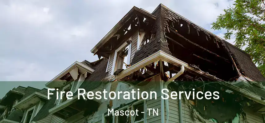 Fire Restoration Services Mascot - TN