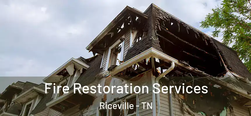Fire Restoration Services Riceville - TN