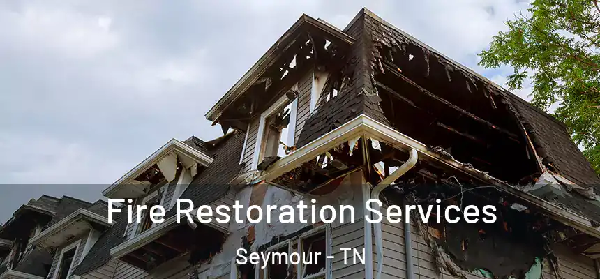 Fire Restoration Services Seymour - TN