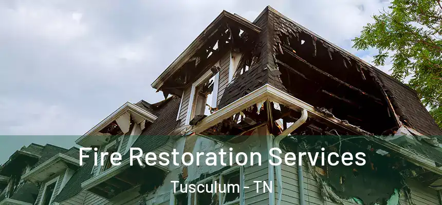 Fire Restoration Services Tusculum - TN