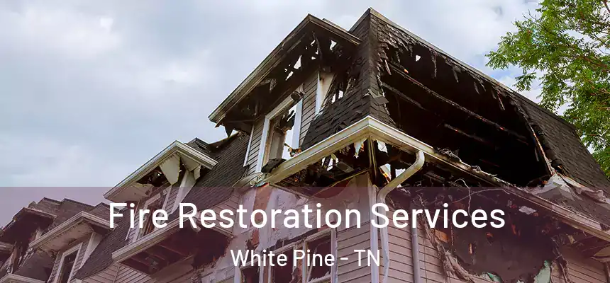  Fire Restoration Services White Pine - TN