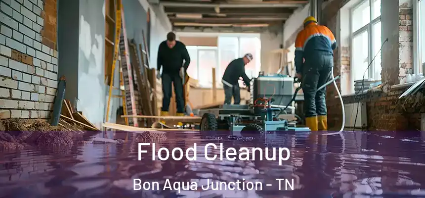 Flood Cleanup Bon Aqua Junction - TN