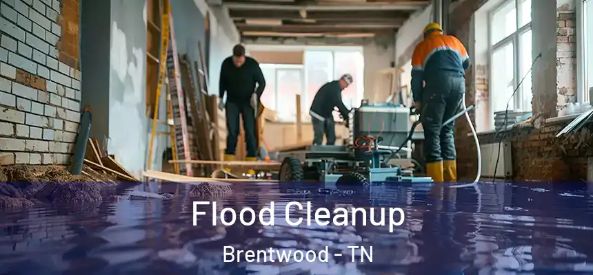  Flood Cleanup Brentwood - TN