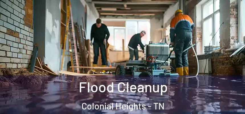 Flood Cleanup Colonial Heights - TN