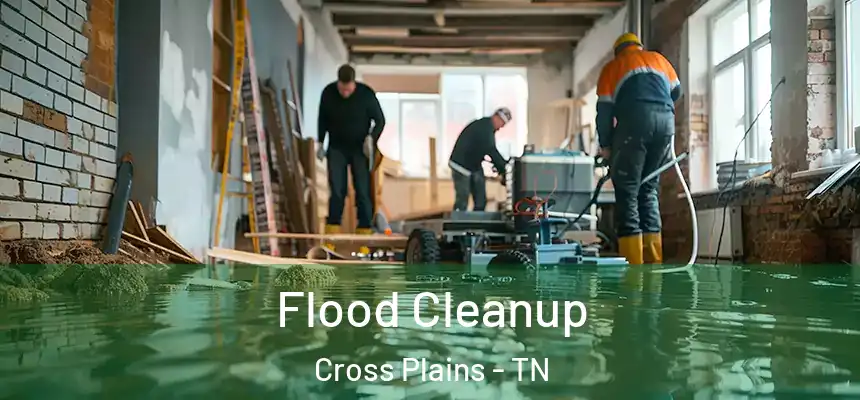 Flood Cleanup Cross Plains - TN