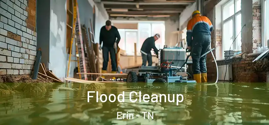 Flood Cleanup Erin - TN
