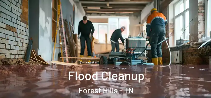 Flood Cleanup Forest Hills - TN