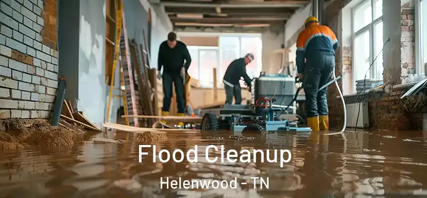 Flood Cleanup Helenwood - TN