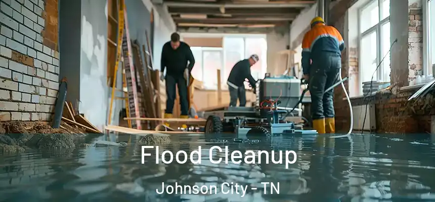 Flood Cleanup Johnson City - TN