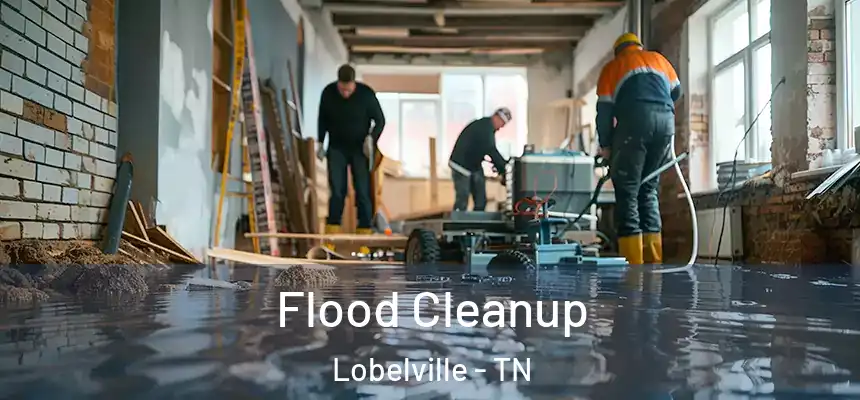 Flood Cleanup Lobelville - TN