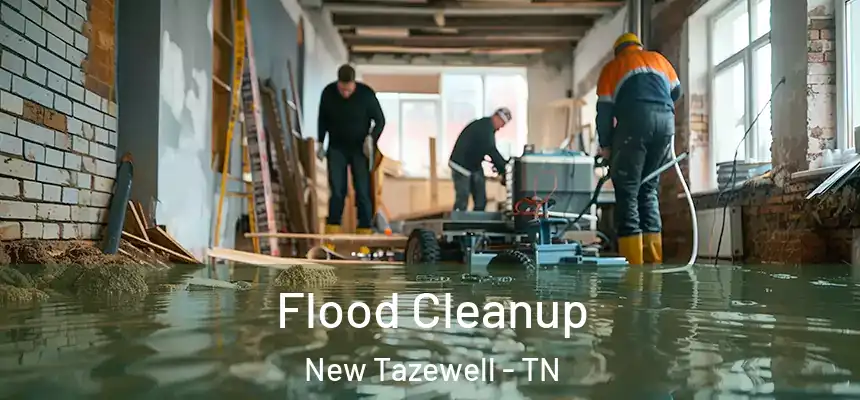  Flood Cleanup New Tazewell - TN