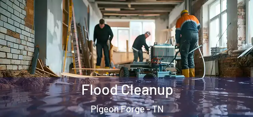 Flood Cleanup Pigeon Forge - TN