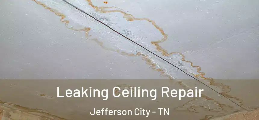 Leaking Ceiling Repair Jefferson City - TN