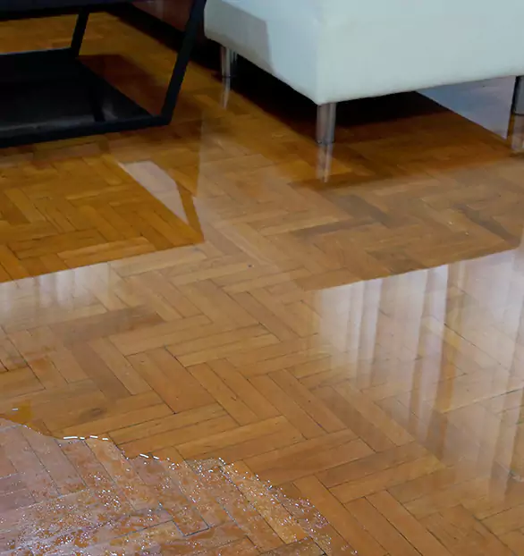 Trusted Emergency Water Restoration Company in Jefferson City, TN