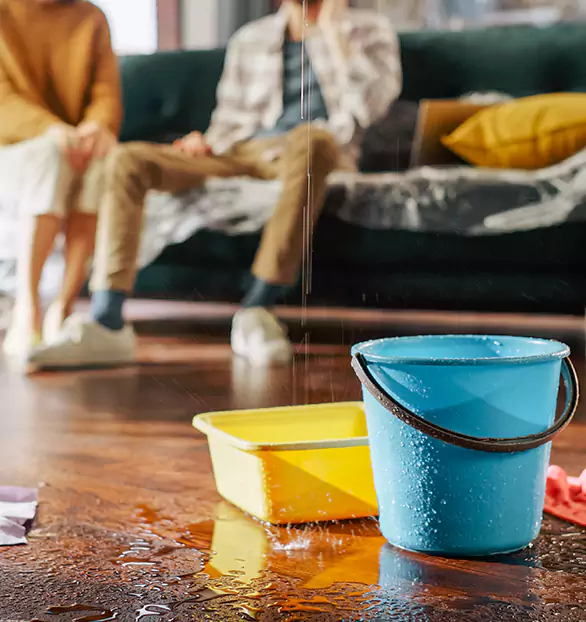 Trusted Water Mitigation Company in Jefferson City, TN