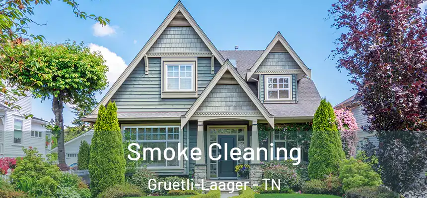 Smoke Cleaning Gruetli-Laager - TN