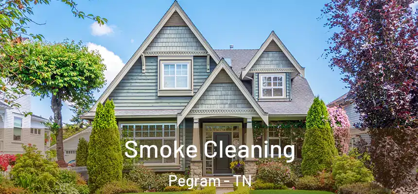 Smoke Cleaning Pegram - TN