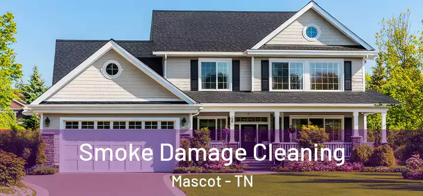 Smoke Damage Cleaning Mascot - TN