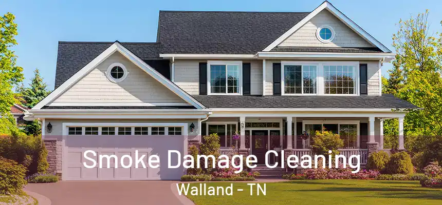 Smoke Damage Cleaning Walland - TN
