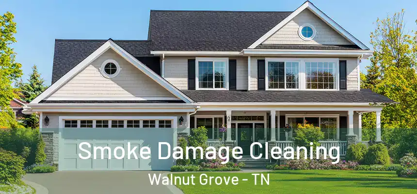 Smoke Damage Cleaning Walnut Grove - TN