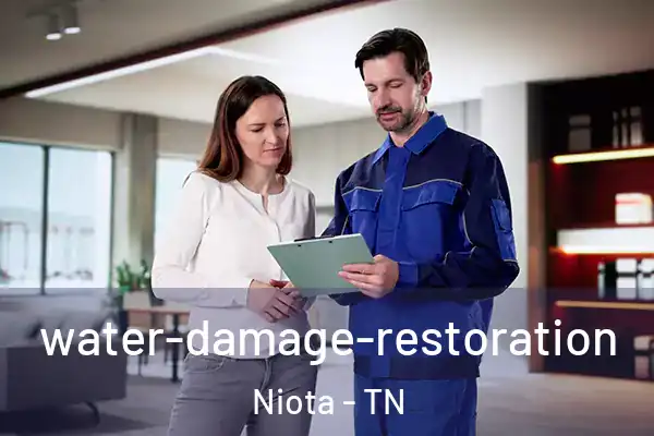  water-damage-restoration Niota - TN